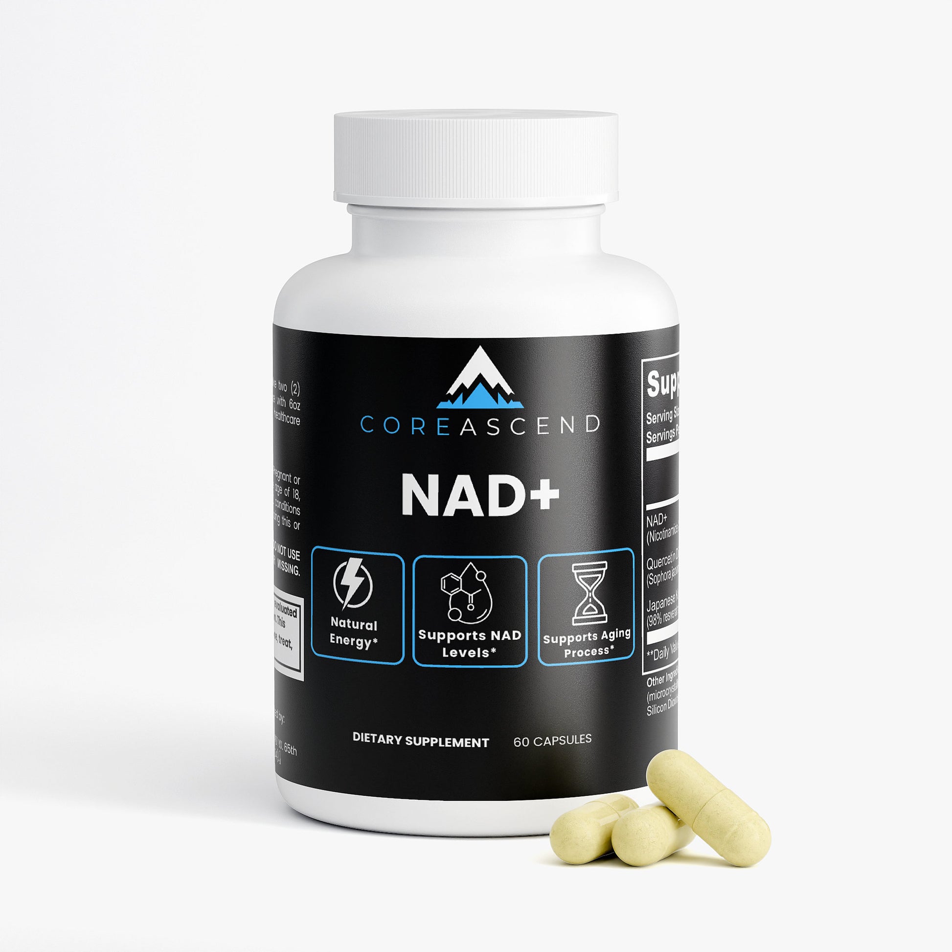 Energy + Focus Bundle