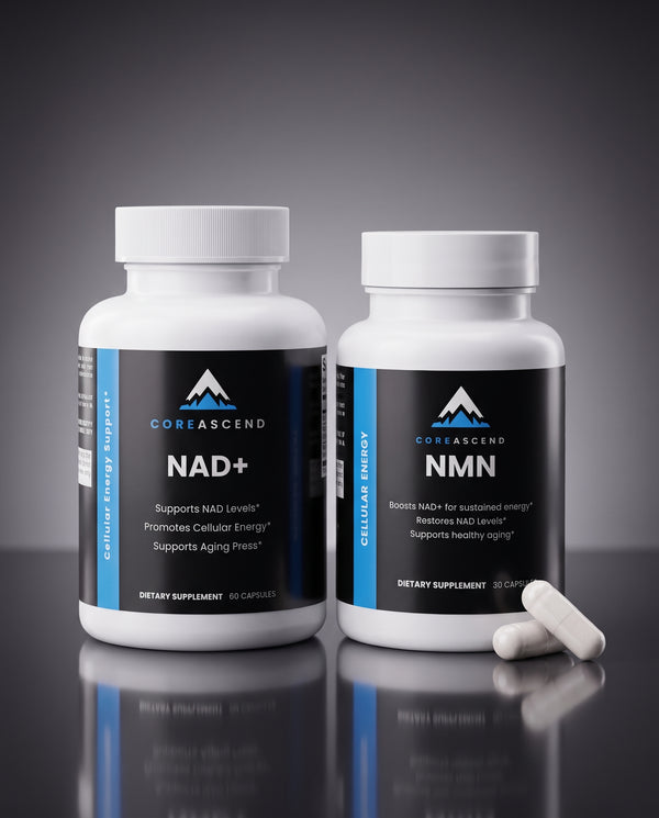 Longevity Amplifier Stack