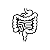 DIGESTION